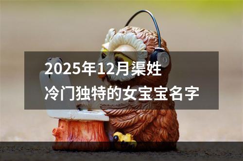 2025年12月渠姓冷门独特的女宝宝名字