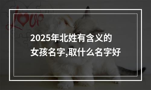 2025年北姓有含义的女孩名字,取什么名字好