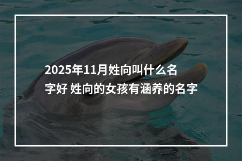 2025年11月姓向叫什么名字好 姓向的女孩有涵养的名字