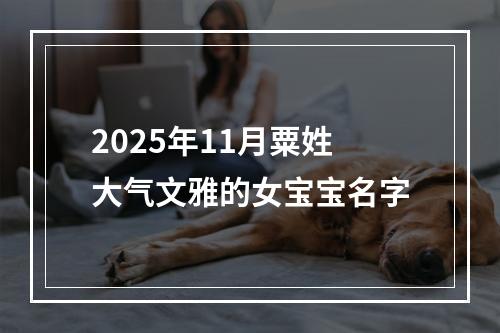2025年11月粟姓大气文雅的女宝宝名字