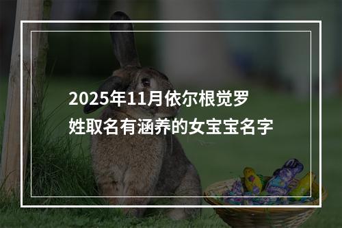 2025年11月依尔根觉罗姓取名有涵养的女宝宝名字
