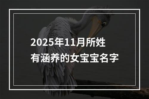 2025年11月所姓有涵养的女宝宝名字