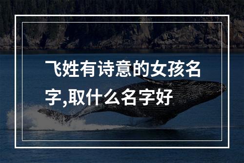 飞姓有诗意的女孩名字,取什么名字好
