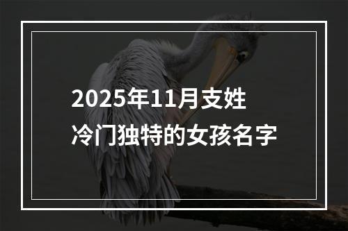 2025年11月支姓冷门独特的女孩名字