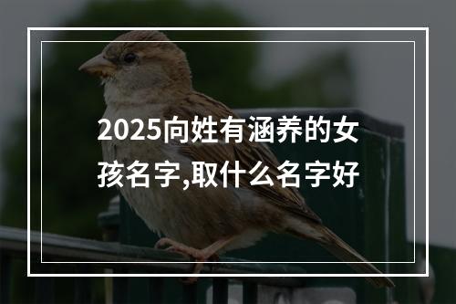 2025向姓有涵养的女孩名字,取什么名字好