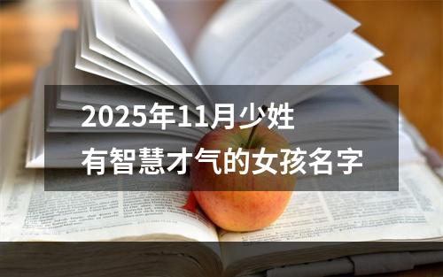 2025年11月少姓有智慧才气的女孩名字