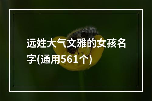 远姓大气文雅的女孩名字(通用561个)