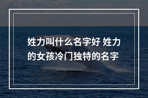 姓力叫什么名字好 姓力的女孩冷门独特的名字