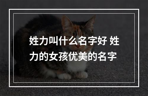 姓力叫什么名字好 姓力的女孩优美的名字