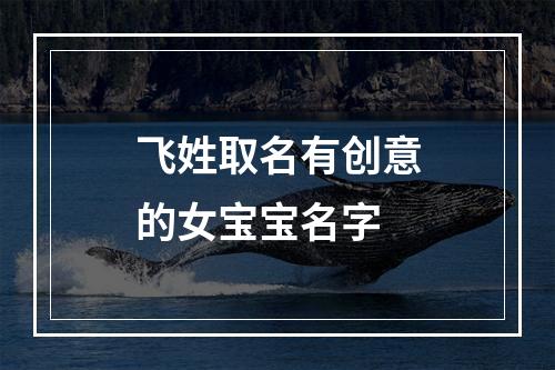 飞姓取名有创意的女宝宝名字