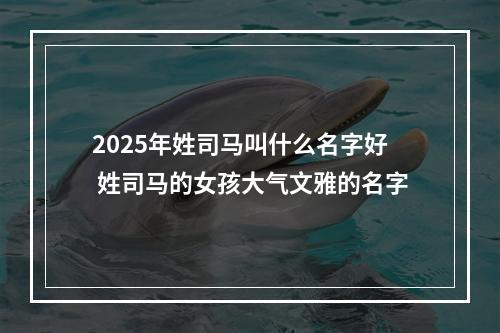 2025年姓司马叫什么名字好 姓司马的女孩大气文雅的名字