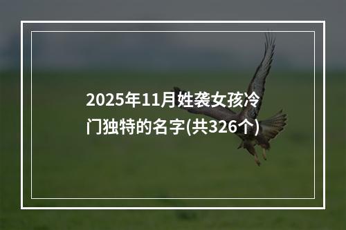 2025年11月姓袭女孩冷门独特的名字(共326个)