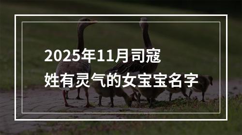 2025年11月司寇姓有灵气的女宝宝名字