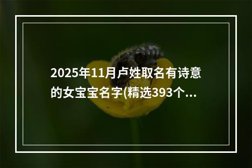 2025年11月卢姓取名有诗意的女宝宝名字(精选393个)