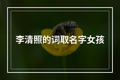李清照的词取名字女孩