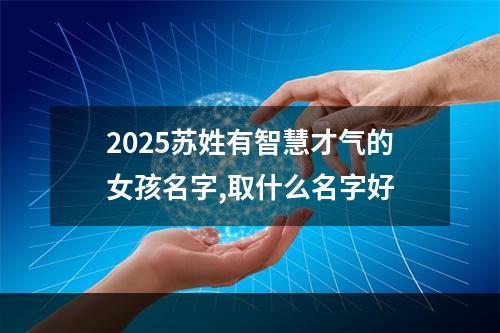 2025苏姓有智慧才气的女孩名字,取什么名字好