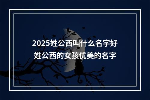 2025姓公西叫什么名字好 姓公西的女孩优美的名字