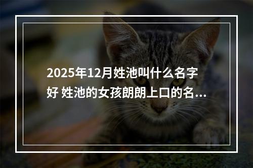 2025年12月姓池叫什么名字好 姓池的女孩朗朗上口的名字