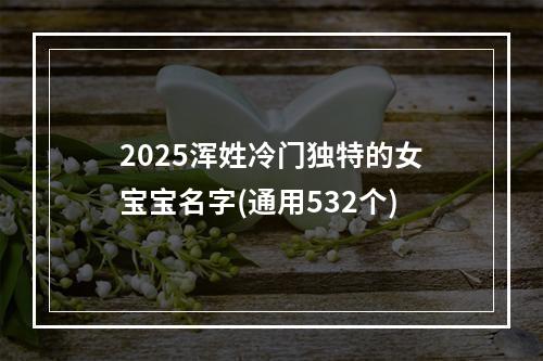 2025浑姓冷门独特的女宝宝名字(通用532个)