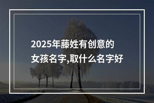 2025年藤姓有创意的女孩名字,取什么名字好
