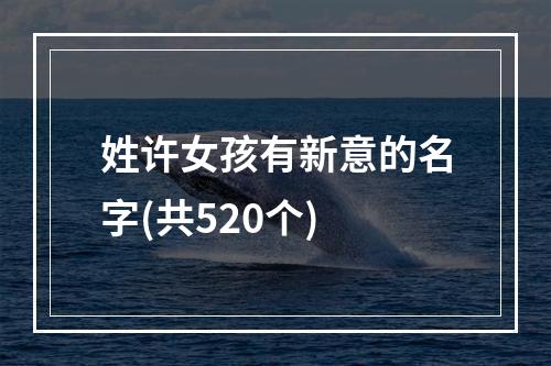 姓许女孩有新意的名字(共520个)