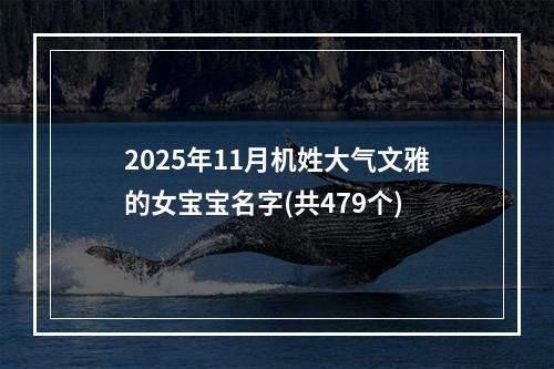 2025年11月机姓大气文雅的女宝宝名字(共479个)