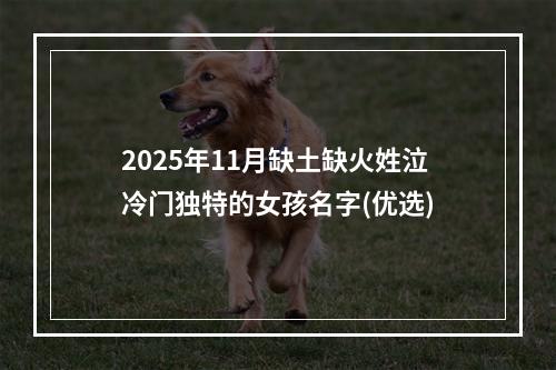 2025年11月缺土缺火姓泣冷门独特的女孩名字(优选)