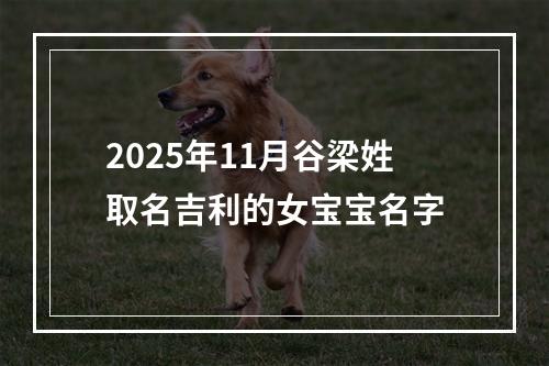 2025年11月谷梁姓取名吉利的女宝宝名字