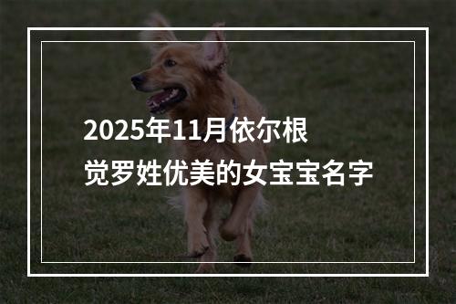 2025年11月依尔根觉罗姓优美的女宝宝名字