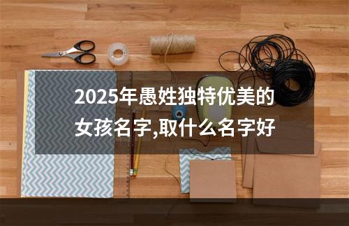 2025年愚姓独特优美的女孩名字,取什么名字好