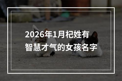 2026年1月杞姓有智慧才气的女孩名字