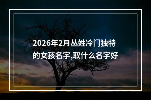 2026年2月丛姓冷门独特的女孩名字,取什么名字好