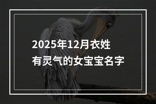 2025年12月衣姓有灵气的女宝宝名字