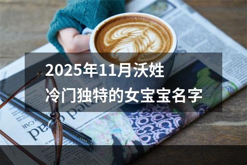 2025年11月沃姓冷门独特的女宝宝名字