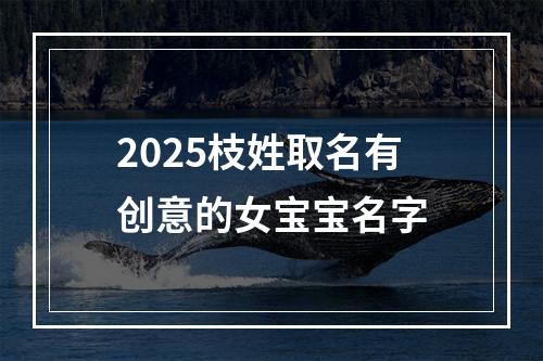 2025枝姓取名有创意的女宝宝名字
