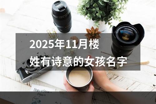 2025年11月楼姓有诗意的女孩名字