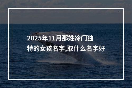 2025年11月那姓冷门独特的女孩名字,取什么名字好