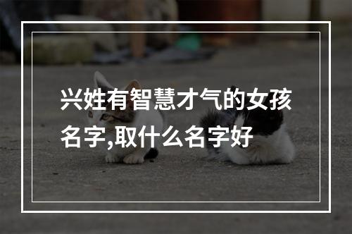 兴姓有智慧才气的女孩名字,取什么名字好