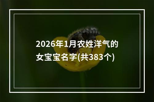 2026年1月农姓洋气的女宝宝名字(共383个)