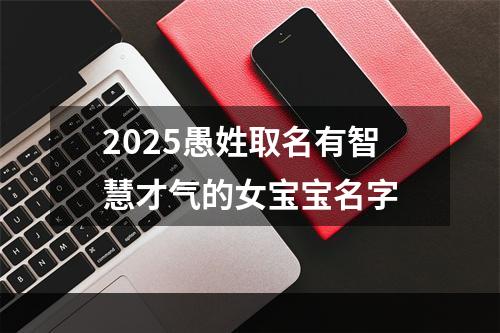 2025愚姓取名有智慧才气的女宝宝名字