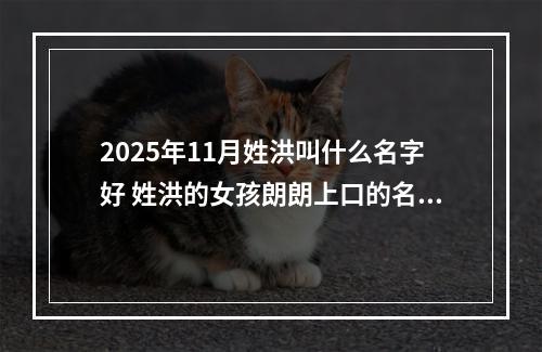 2025年11月姓洪叫什么名字好 姓洪的女孩朗朗上口的名字