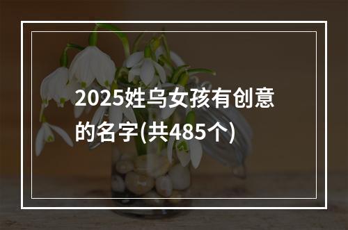 2025姓乌女孩有创意的名字(共485个)