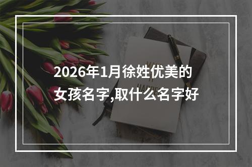 2026年1月徐姓优美的女孩名字,取什么名字好