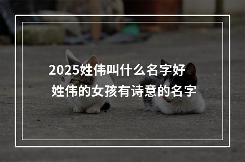 2025姓伟叫什么名字好 姓伟的女孩有诗意的名字