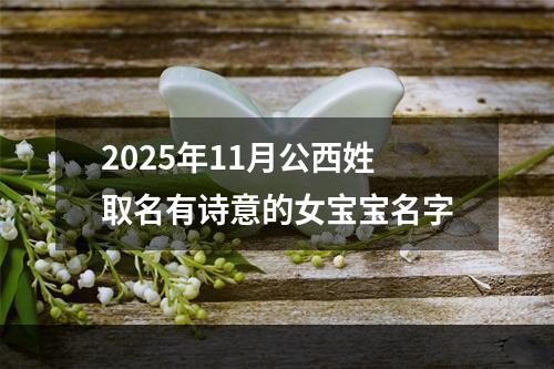 2025年11月公西姓取名有诗意的女宝宝名字