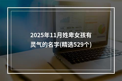 2025年11月姓卑女孩有灵气的名字(精选529个)