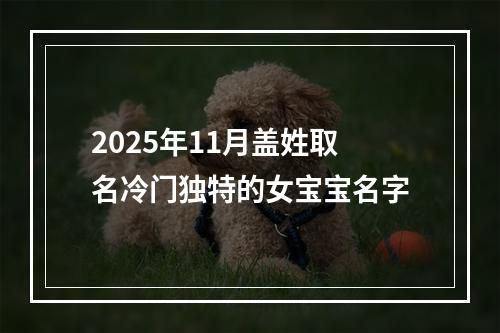 2025年11月盖姓取名冷门独特的女宝宝名字