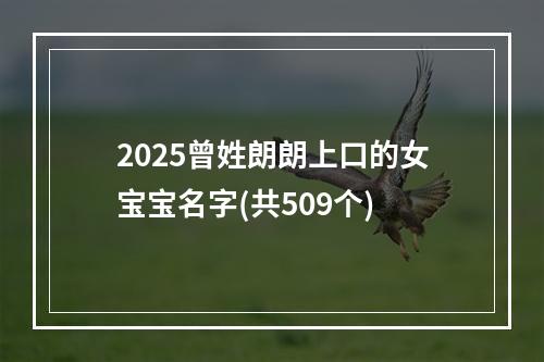 2025曾姓朗朗上口的女宝宝名字(共509个)