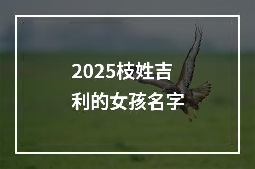 2025枝姓吉利的女孩名字