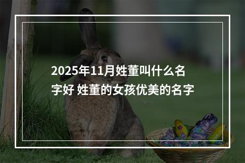 2025年11月姓董叫什么名字好 姓董的女孩优美的名字
